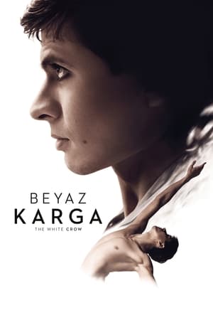 Poster Beyaz Karga 2018