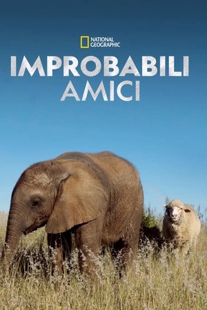 Image Improbabili amici