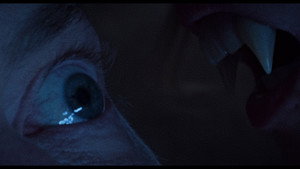 Dracula: The Night Around Us 29