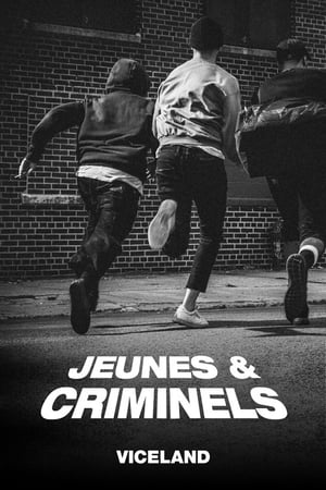 Image Jeunes et criminels