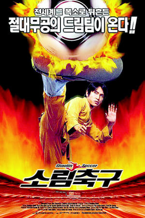 Poster 소림축구 2001