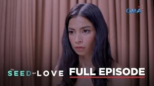 The Seed of Love: Season 1 Full Episode 17