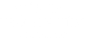 Disclaimer — Logos 12