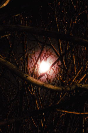 Sad and Empty (2026)