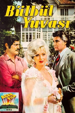 Poster Bülbül Yuvası (1970)