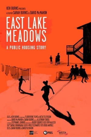 Poster East Lake Meadows: A Public Housing Story 2020