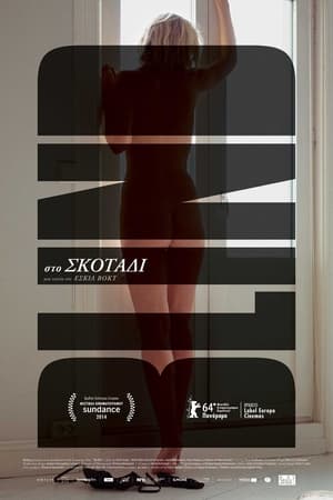 Poster Στο Σκοτάδι 2014