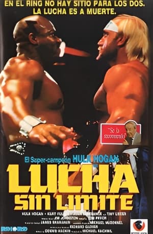 Poster Lucha sin límite 1989