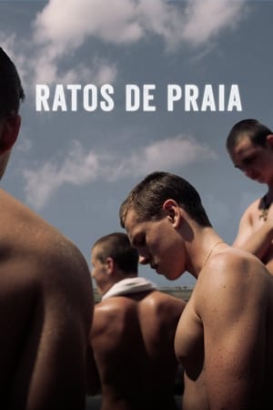 Poster Ratos de Praia 2017