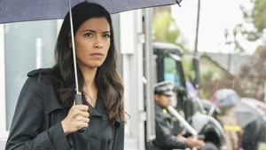 S.W.A.T. 1X20 Online Subtitulado