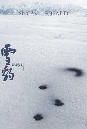 Snow Leopard