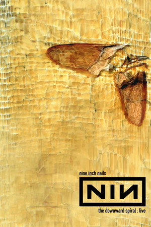 Nine Inch Nails: The Downward Spiral Live 7