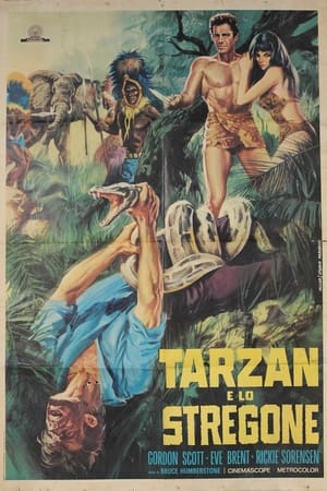 Image Tarzan e lo stregone