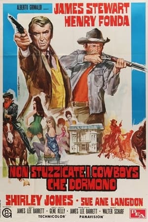 Poster Non stuzzicate i cowboys che dormono 1970