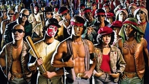 The Warriors (Los amos de la noche)