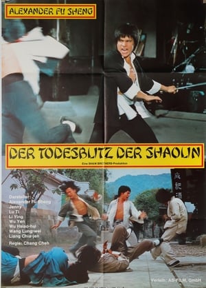 Image Der Todesblitz der Shaolin