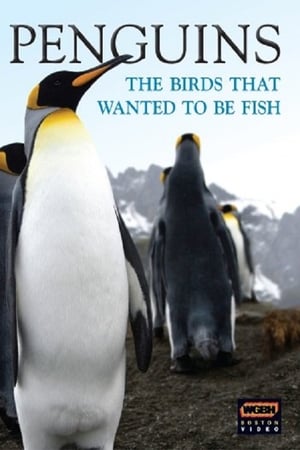 Penguins: The Story of the Bird that wanted to be Fish