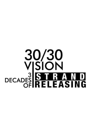 30/30 Vision: Three Decades of Strand Releasing poster