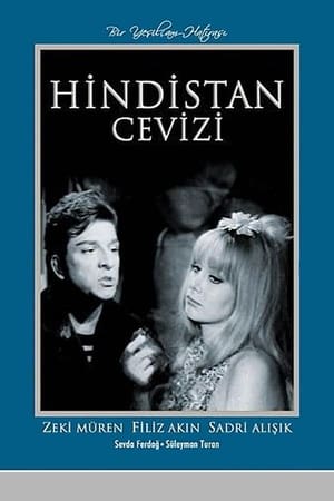 Hindistan Cevizi poster