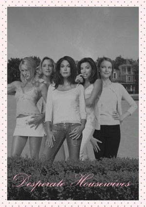 Постер сериала «Отчаянные домохозяйки (2006 - 2011)» — (80 из 190)