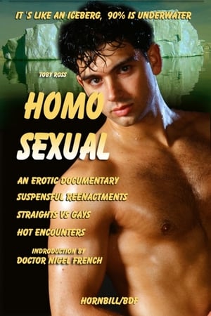 Poster Homosexual 2013