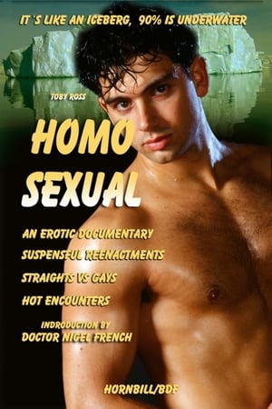 Poster 同性恋 2013