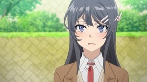 Rascal Does Not Dream of Bunny Girl Senpai Season 1 Episode 3