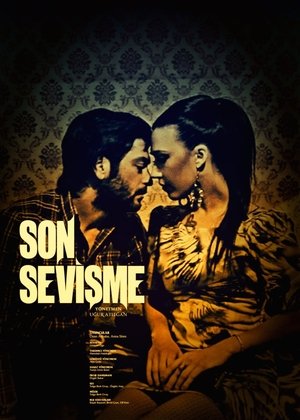 Poster Son Sevişme (2012)