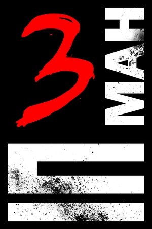 Image Іп Ман 3