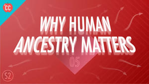 Crash Course Big History Why Human Ancestry Matters