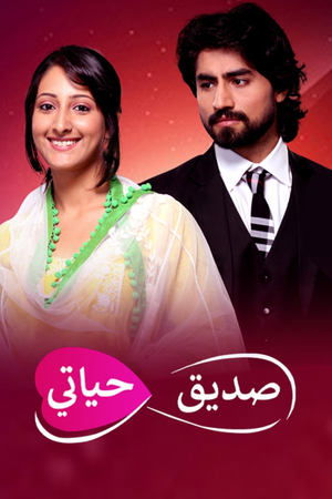 Poster Humsafars 2014