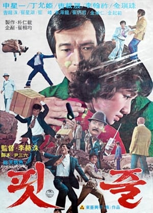 Poster 핏줄 1976