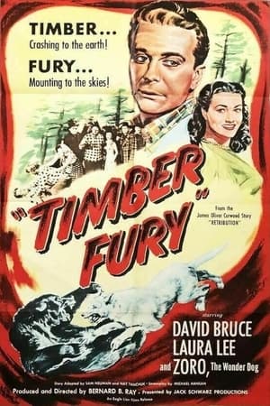 Poster Timber Fury (1950)