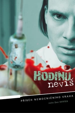 Hodinu nevíš... poster