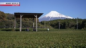 Journeys in Japan: 15×3