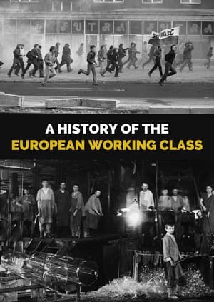 Image A History of the European Working Class