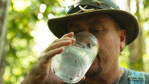 Party Like It's 1999