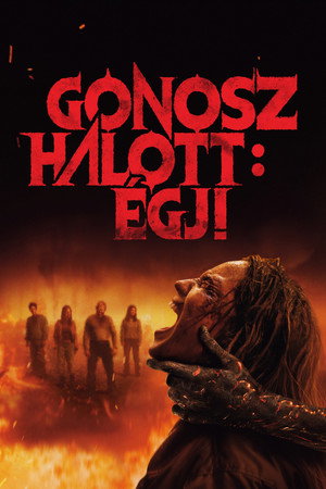 <Images posters