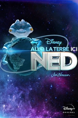 Allô la Terre, ici Ned movie poster
