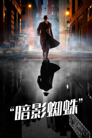 Image 暗影蜘蛛侠