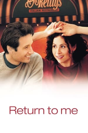 Poster Return to Me 2000