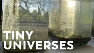 A Collection of Tiny Universes still
