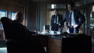 Gotham: 2×8