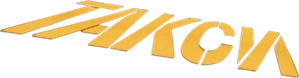 Taxi Express — Logos 4