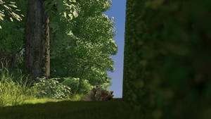 Over the Hedge 46