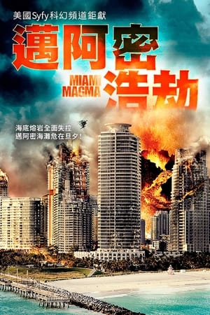 Poster 沼泽火山 2011