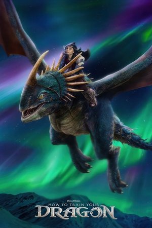 poster How to Train Your Dragon