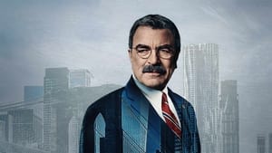 poster Blue Bloods