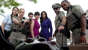 Scream 4 (2011) DVDRIP LATINO