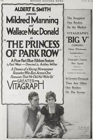 Poster The Princess of Park Row (1917)